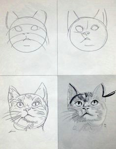 Drawing A Cat Face On Yourself How to Draw Cat Step 5 Drawing In 2019 Drawings Cat Drawing Cats