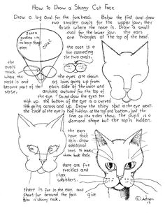 Drawing A Cat for Beginners 73 Best How to Draw Images Drawing Techniques Drawing Tutorials