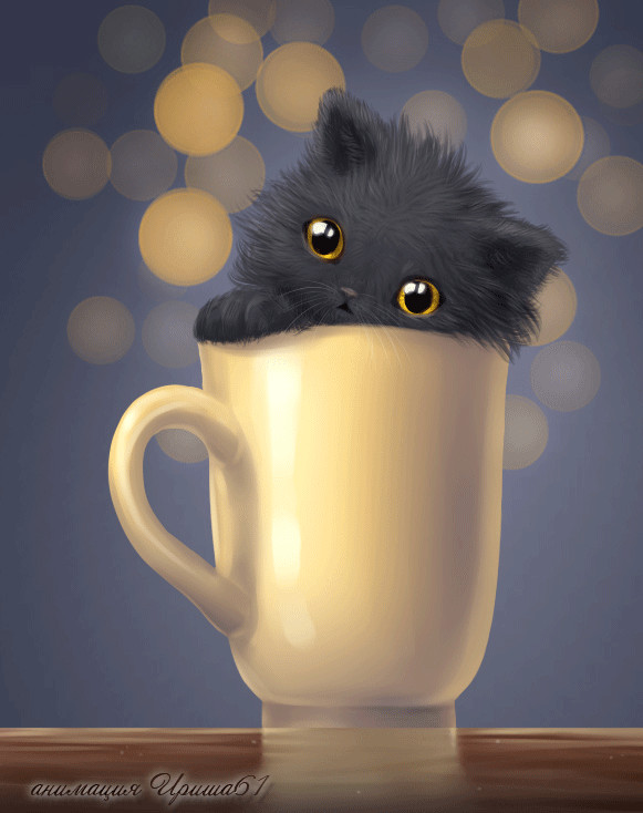 Drawing A Cat Gif Cosas Lindas Encontradas En La Web Kitty Cats Cat Art Animals