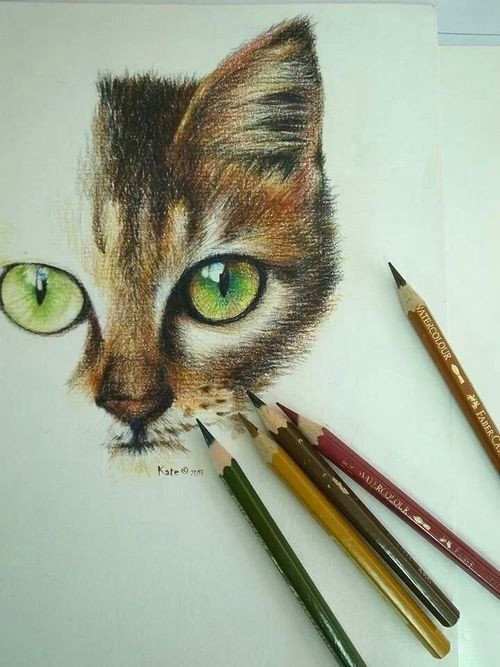 Drawing A Cat Gif Kitteh Kats Cat Photos Cat Gifs Cat Funny Kitten Pics Lots Of