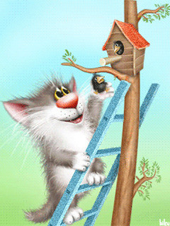 Drawing A Cat Gif Kitten Putting A Bird Back In Its Birdhouse Animal Art Xenopus