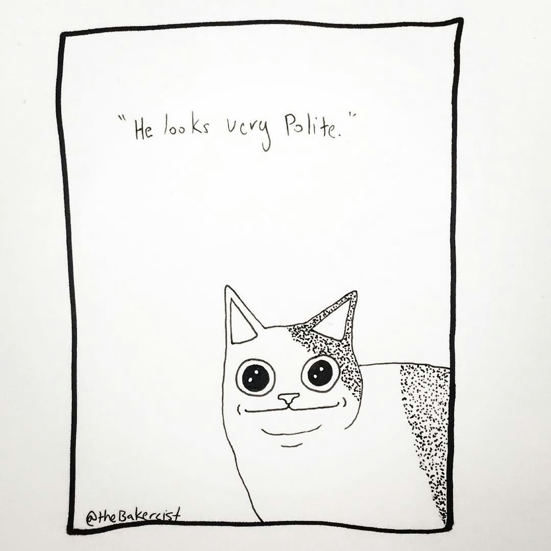 Drawing A Cat Meme He Looks Very Polite Cat Cats Catmeme Meme Memes Drawing