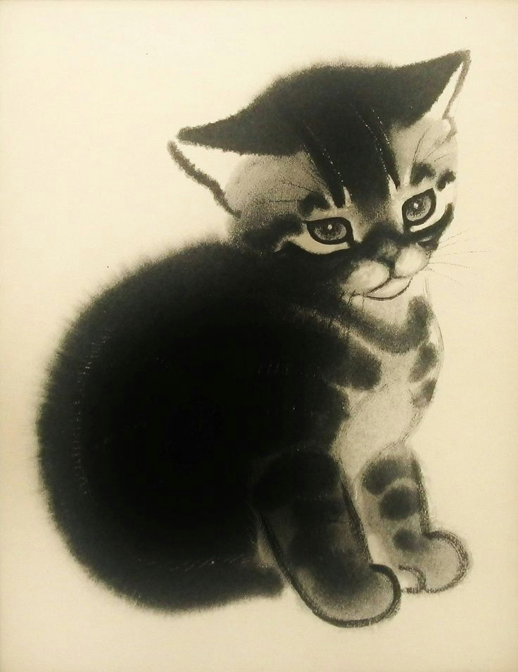 Drawing A Cat Newberry Clare Turlay Newberry Google Search Cat Lady Cat Art Cats