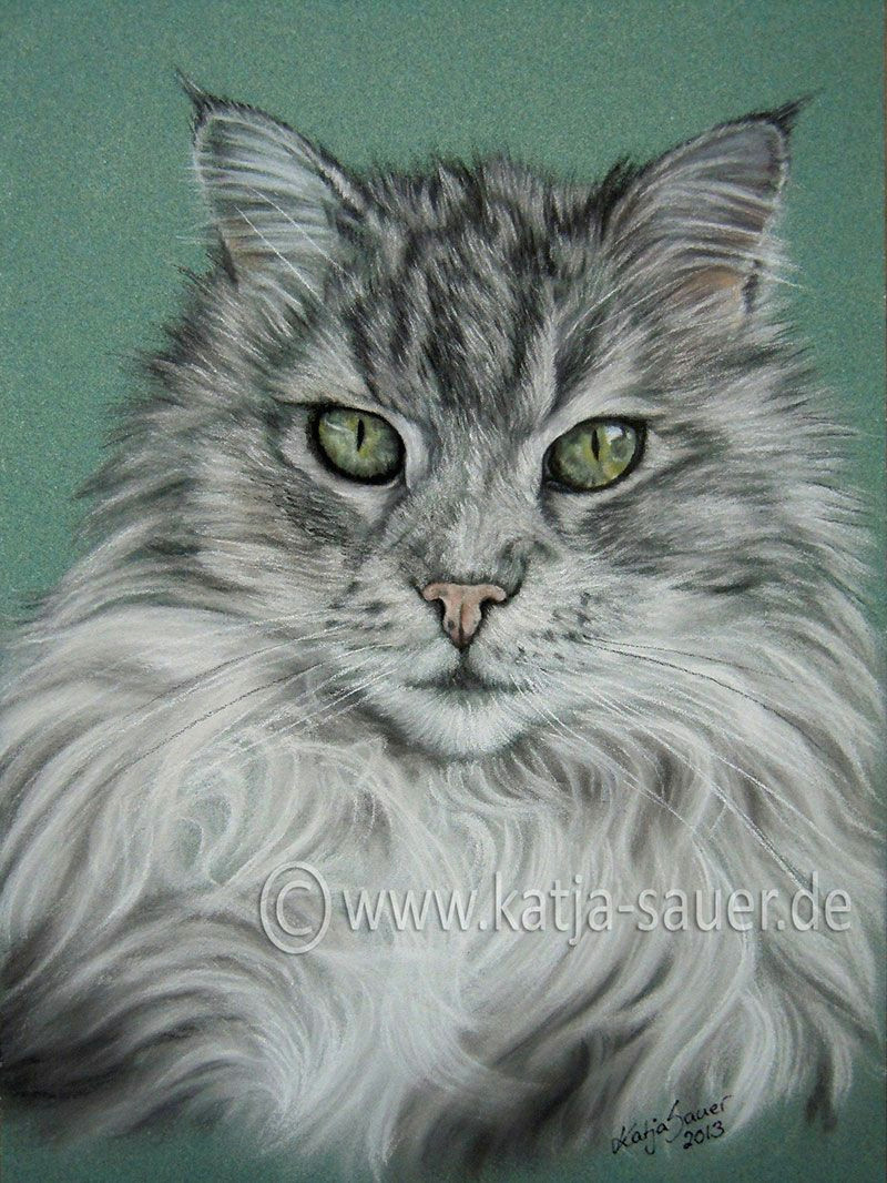 Drawing A Cat Portrait Cat Paintings and Cat Portraits In soft Pastels Animal Painting
