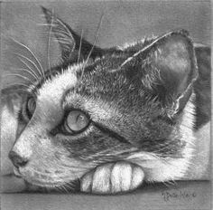Drawing A Cat Profile 85 Best Realistic Cat Art Images In 2019 Cat Art Draw Animals