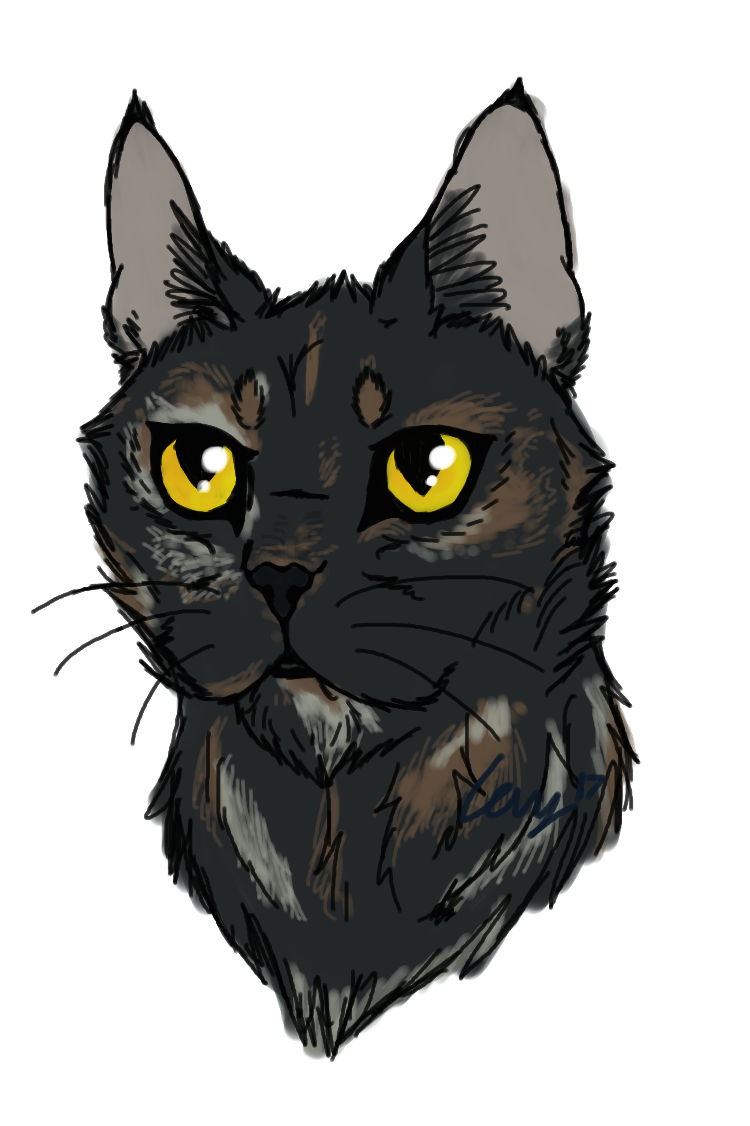 Drawing A Cat Quickly Does Imgur Like My Quick Drawing Of My Cat Album On Imgur