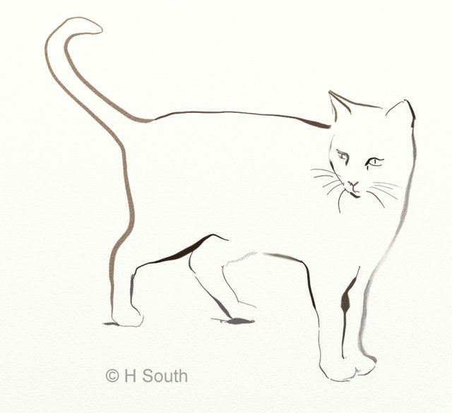 Drawing A Cat Quickly How to Draw and Sketch Cats