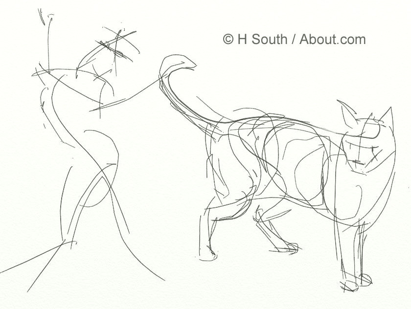 Drawing A Cat Quickly How to Draw and Sketch Cats