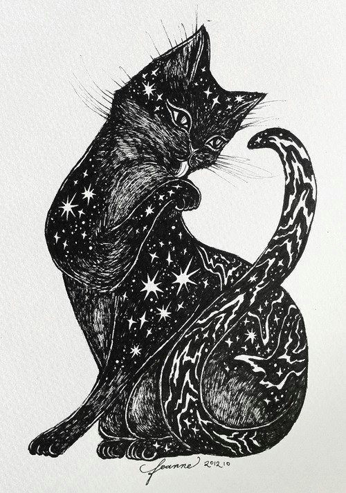 Drawing A Cat Quickly Pin by Erin Quick On Illustration In 2018 Cat Art Cats Cat Drawing