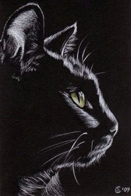 Drawing A Cat White On Black Paper I Want to Get someone to Draw Ginny Like This Cause She S so Dark