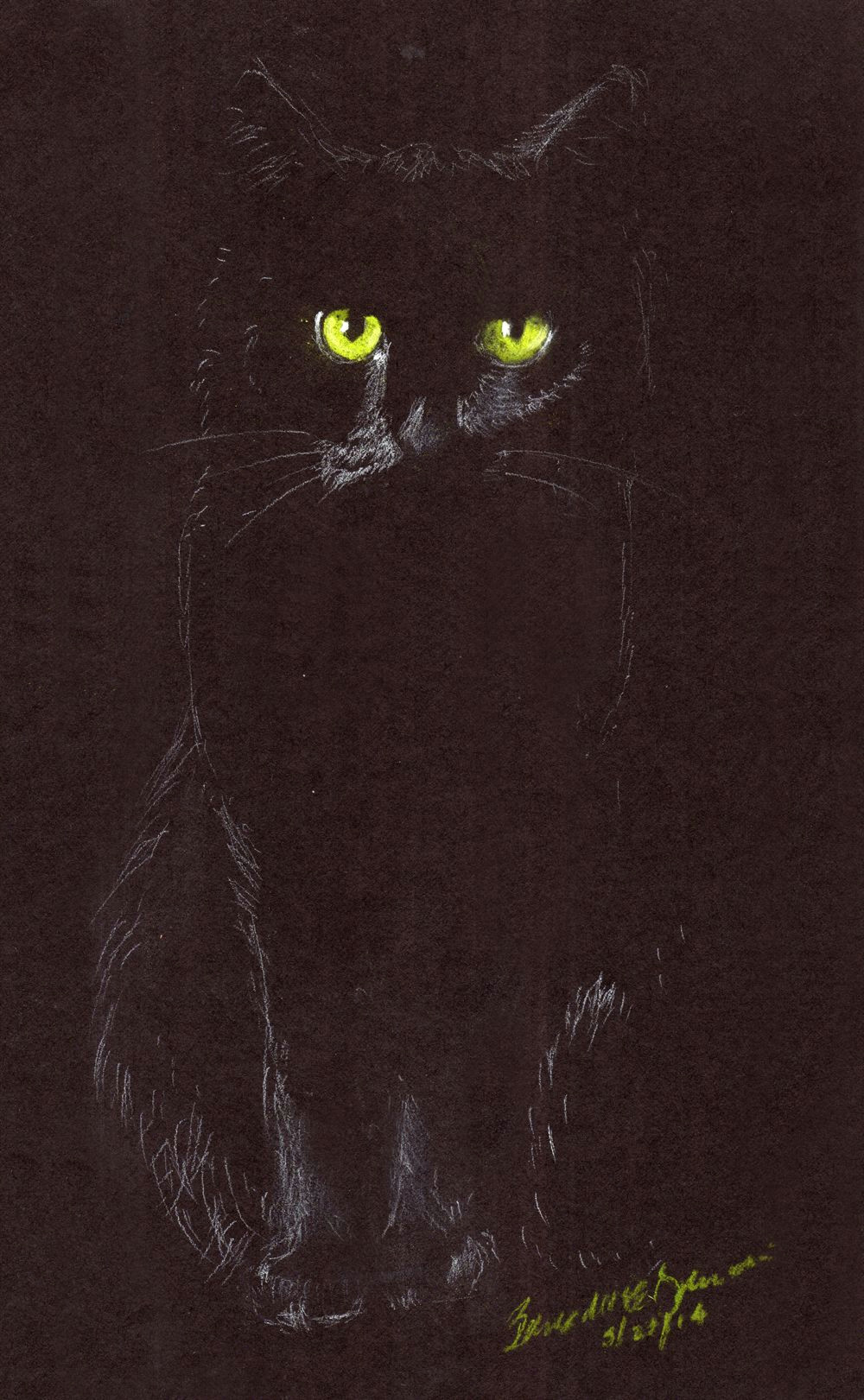 Drawing A Cat White On Black Paper Sitting In the Dark White Charcoal and Pastel Pencils On Black
