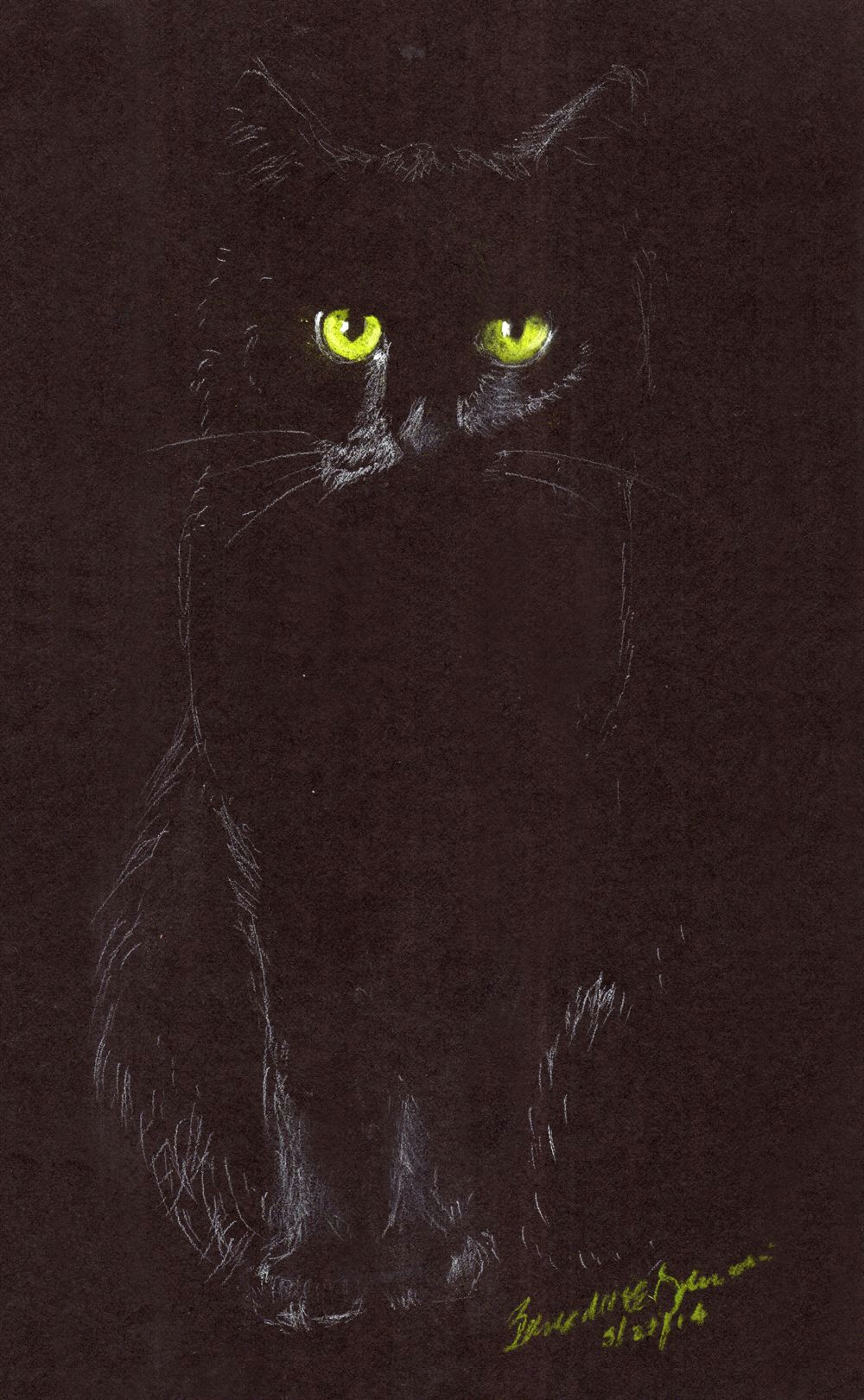 Drawing A Cat White On Black Paper Sitting In the Dark White Charcoal and Pastel Pencils On Black