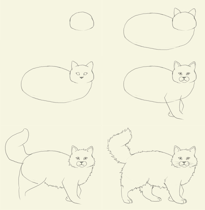 Drawing A Cat with Letters How to Draw A Cat Dr Odd