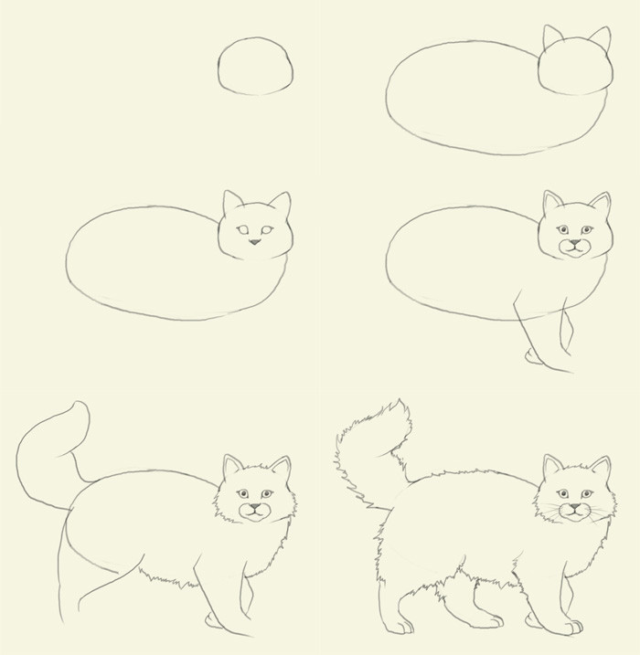 Drawing A Cat with Letters How to Draw A Cat Dr Odd