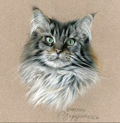 Drawing A Cat with Pastels 516 Best Cats Images Cat Paintings Pastel Drawing Animal Drawings