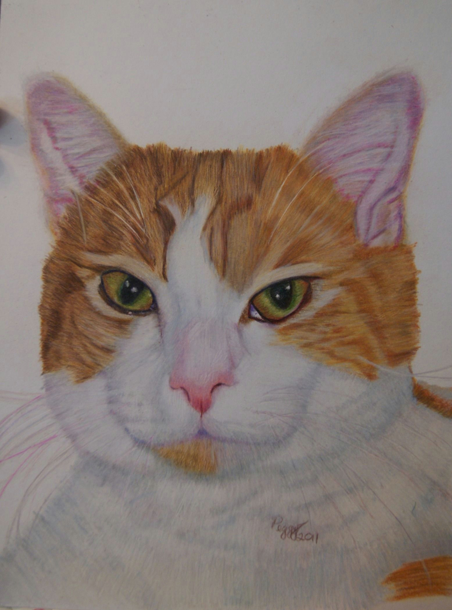 Drawing A Cat with Pastels A Colored Pencil Drawing Ofjean Luc My Niece S Cat She Lost Him Far