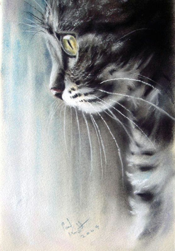 Drawing A Cat with Pastels Pastel Paintings by Paul Knight Cats Blog Of An Art Admirer