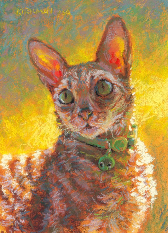 Drawing A Cat with Pastels Rita Kirkman Mewler Kitty Pastel 7×5 Inches Cats In Art