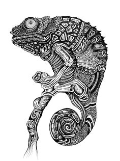 Drawing A Chameleon Eye 20 Best Color Chameleon Images Coloring Pages Drawings Print