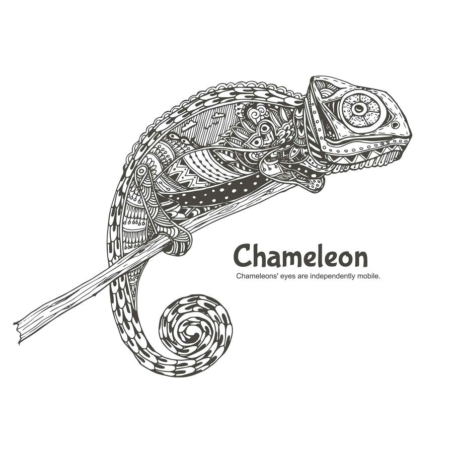 Drawing A Chameleon Eye Chameleon Doodling Pinterest Chameleons