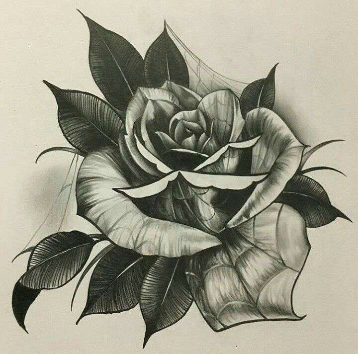 Drawing A Closed Rose How to Draw A Closed Rose Step by Step Beautiful Closed Rose Drawing