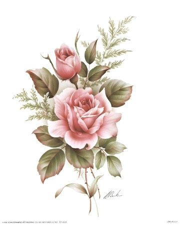 Drawing A Closed Rose Rose Drawings Rose Pencil Drawings Rose Drawings Drawing Of A