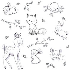 Drawing A Cute Animal 565 Best Cute Animal Drawings Images Sketches Cute Drawings