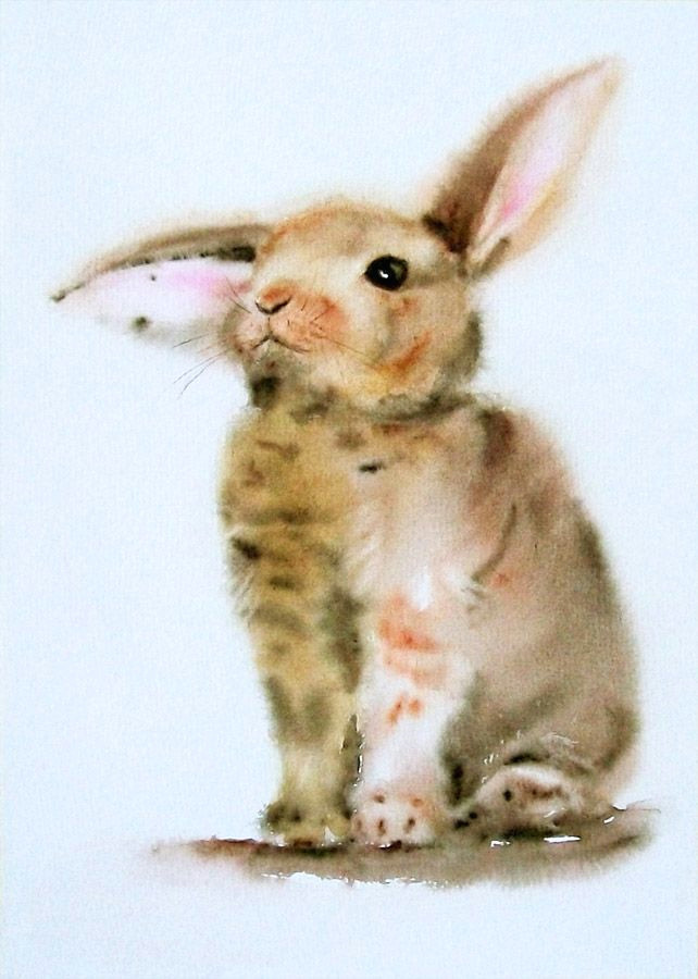 Drawing A Cute Bunny Sad Rabbit Adorable Bunny by Stokrotas On Deviantart Art Animals
