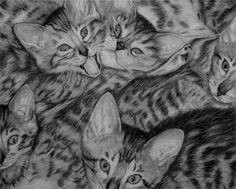Drawing A Cute Kitten 112 Best Kitten Drawings Images In 2019 Cats Dog Cat Watercolor Cat