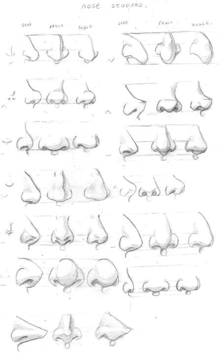 Drawing A Cute Nose Next Level Bathroom Sinks 24 Photos Anatomie Drawings Nose