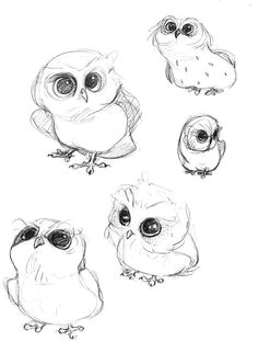 Drawing A Cute Owl 5535 Best Owl Drawings Images Pine Cones Pine Cone Pine Cone Crafts