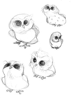 Drawing A Cute Owl 5535 Best Owl Drawings Images Pine Cones Pine Cone Pine Cone Crafts