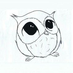 Drawing A Cute Owl 77 Best Owl Cartoon Sketches Images Barn Owls Owls Drawing Owls