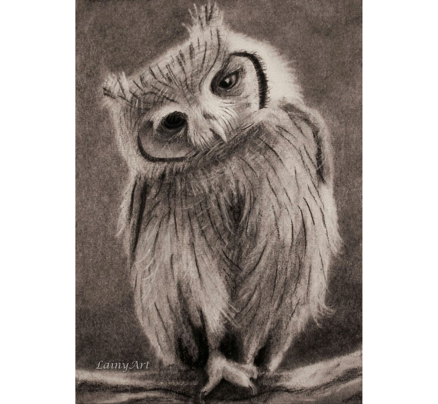 Drawing A Cute Owl Cute Owl Drawing Aceo Charcoal original All by Lainyart 11 00