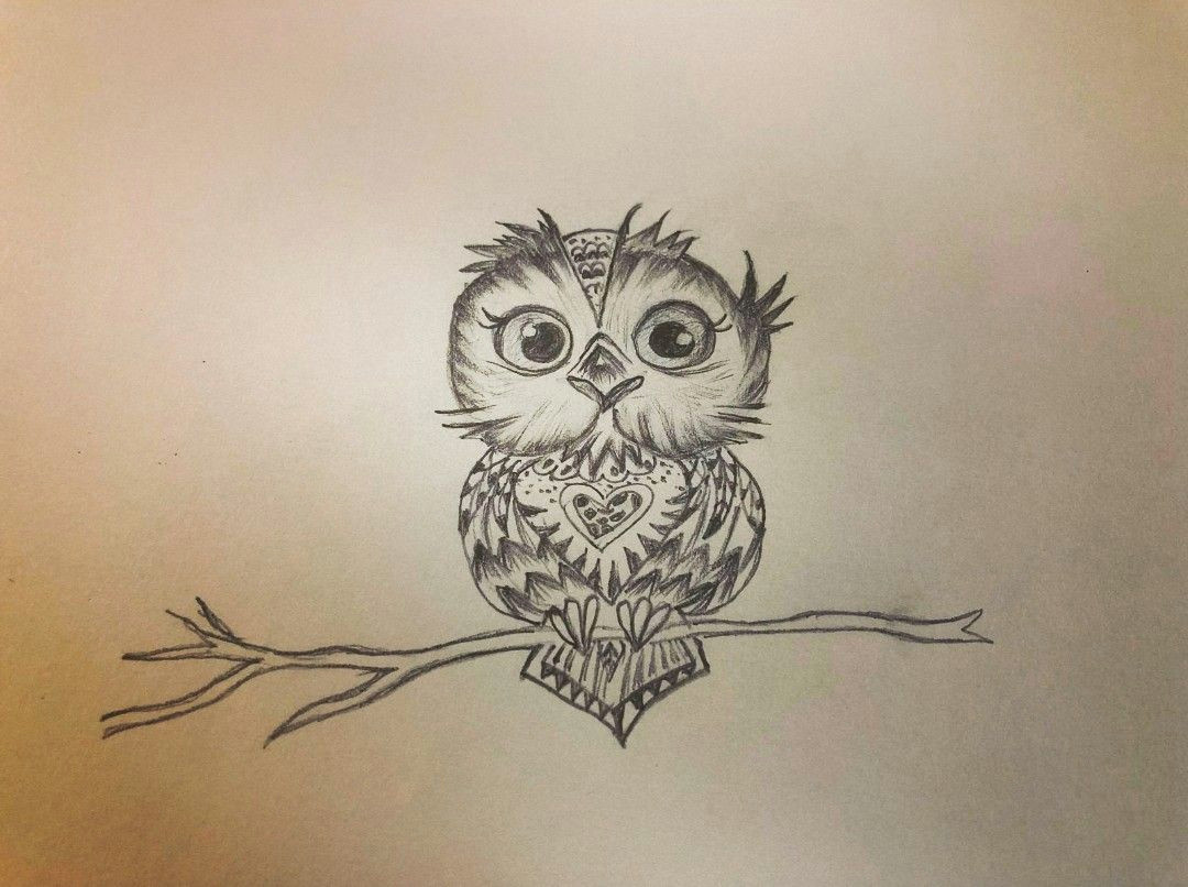 Drawing A Cute Owl Pin by Mansi On Sketches Pinterest Sketches Cute Owl and Owl