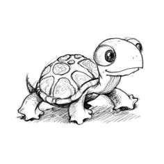 Drawing A Cute Turtle 305 Best A Turtle Sayings Cartoons Crafts Other Turtle Idems