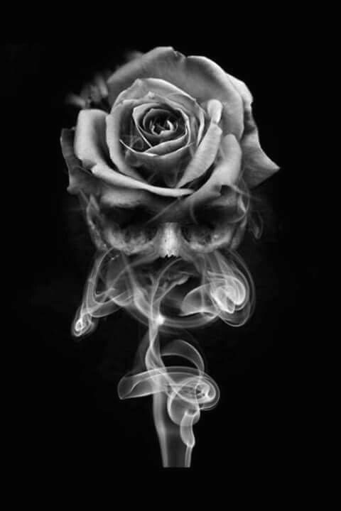 Drawing A Dead Rose Smoke Skull Rose Skulls Tattoos Skull Tattoos Tattoo Designs