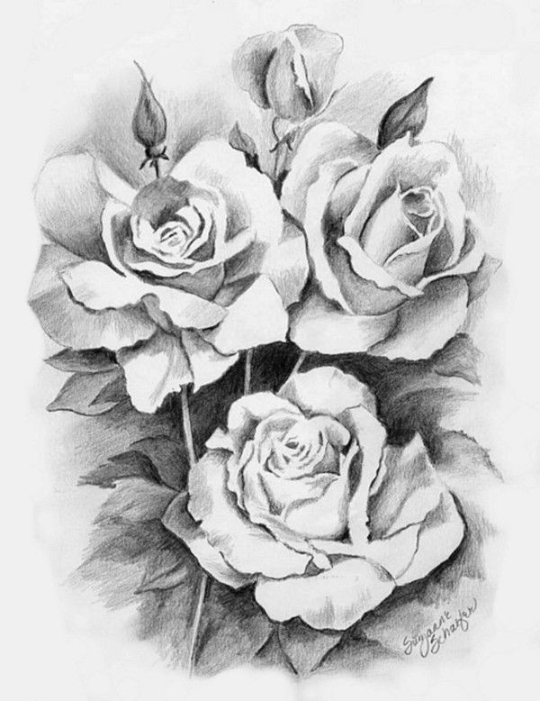 Drawing A Detailed Rose Drawing Library Drawing Sketch Pencil Arts and Craft Ideas