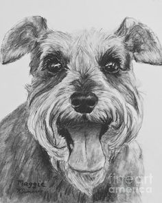 Drawing A Dog In Charcoal 1555 Best Dogs Images In 2019 Graphite Pencil Drawings Sketches