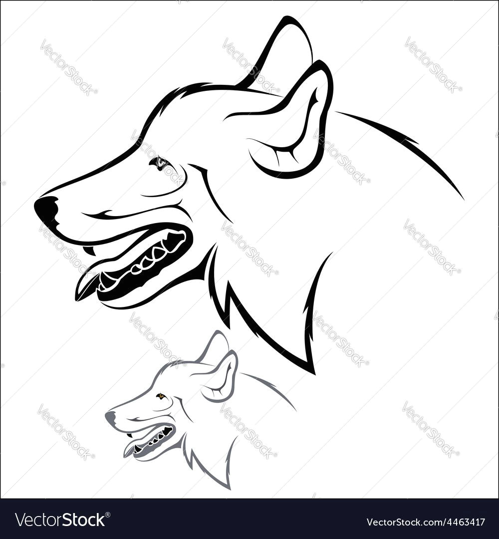 Drawing A Dog In Illustrator Vector Illustration Wolf Head On A White Background Download A