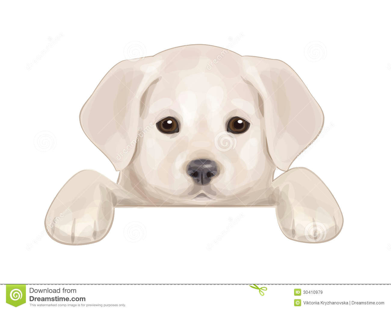 Drawing A Dog In Illustrator Vector Of Cute Puppy Hiding by Blank Stock Vector Illustration Of