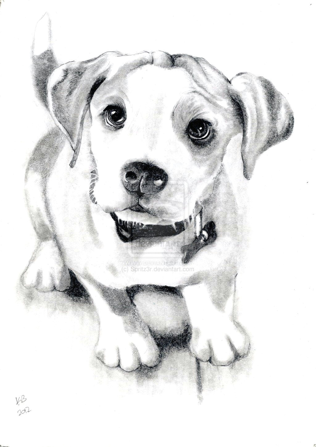 Drawing A Dog In Pencil Dog Sketch by Spritz3r Deviantart Com On Deviantart Dog Portraits