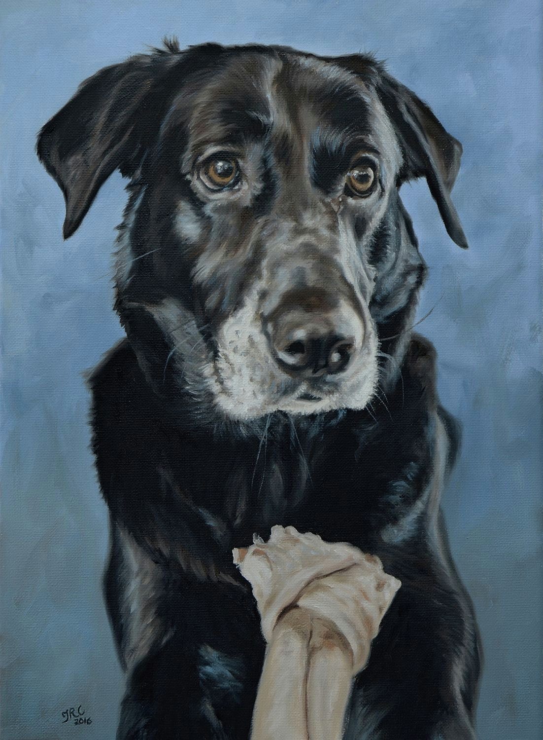 Drawing A Dog Portrait Dog Portrait Painting Of Doc 12x16ins Dogs Cute Pet Portrait