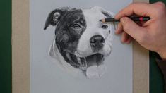 Drawing A Dog Time Lapse 253 Best Drawing Dogs Images In 2019 Crayons Dogs Color Pencil Art