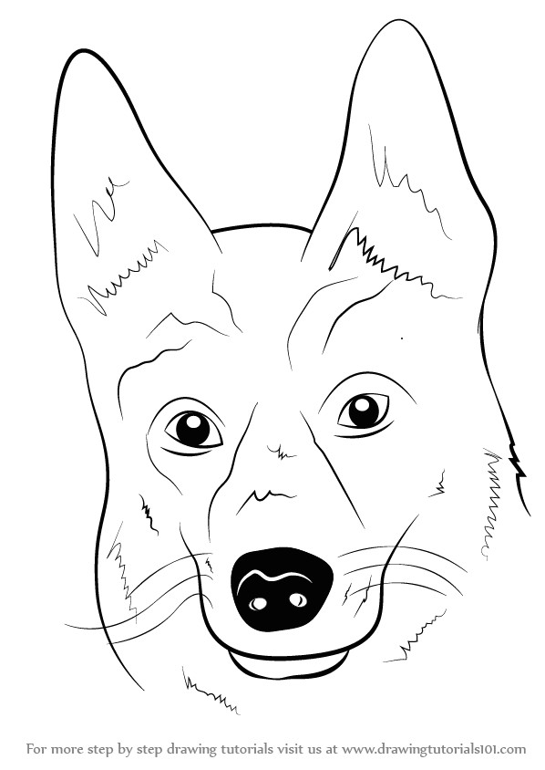 Drawing A Dog Tutorial Learn How to Draw German Shepherd Dog Face Farm Animals Step by