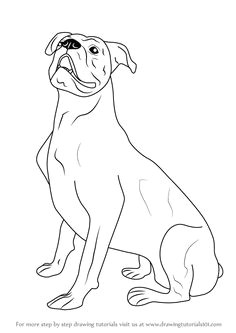 Drawing A Dog with A Story 252 Best How to Draw A Images In 2019 Easy Drawings How to