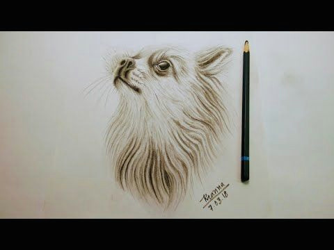 Drawing A Dog Youtube Charcoal Drawing Tutorial Cute Dog Drawing Rainbow Art by