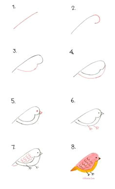 Drawing A Easy Bird 111 Best How to Draw Birds Images Draw Animals Drawing Techniques