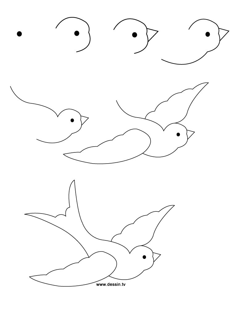 Drawing A Easy Bird How to Draw A Bird Step by Step Easy with Pictures Birds