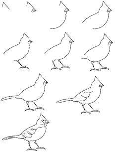 Drawing A Easy Bird How to Draw A Bird Step by Step Easy with Pictures Birds